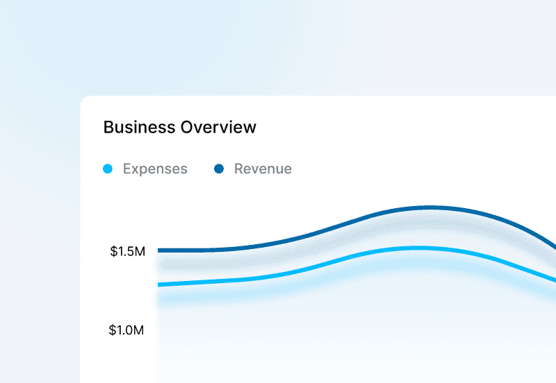 Business P&L Overview